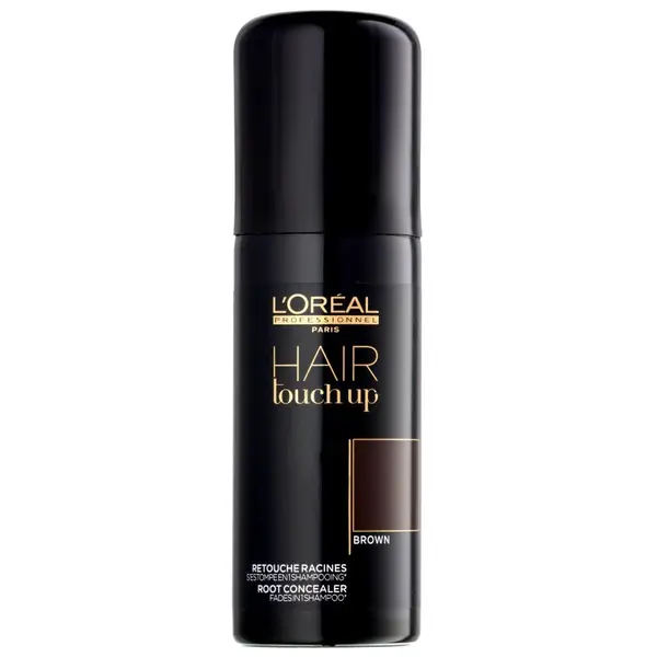 L’Oréal Professionnel Hair Touch Up vlasový korektor odrastov a šedín odtieň Brown 75 ml