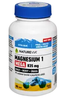 NATUREVIA Magnesium 1 835 mg 90 tabliet