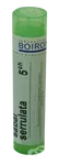 BOIRON Sabal Serrulata CH5 granule 4 g
