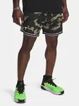Pánské kraťasy Under Armour Pjt Rck Mesh Short - Pánské