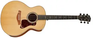 Taylor Gold Label 814e Koa