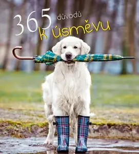 365 důvodů k úsměvu (poškozená)