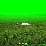 M4REKG – if I were prettier