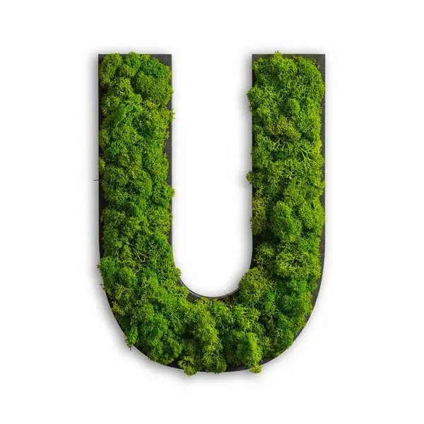 StyleGREEN MECHOVÝ OBRAZ