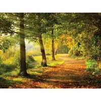 MALBA NA PLÁTNĚ, stromy, 30/40 cm