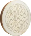 Meinl Sonic Energy WD22FOL