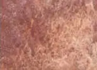 Akvarelová barva DS 15ml – 204 Burnt Bronzite Genuine