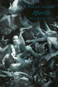 Afterlife - Polly Clark