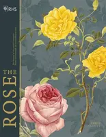 RHS The Rose - Brent Elliott