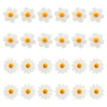 24Pcs 2 Styles Natural Freshwater Shell Beads