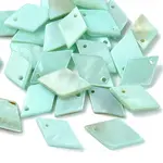 30Pcs Spray Painted Natural Freshwater Shell Pendants