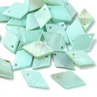 30Pcs Spray Painted Natural Freshwater Shell Pendants