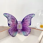 Acrylic Claw Hair Clips