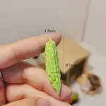 Resin Vegetable Model