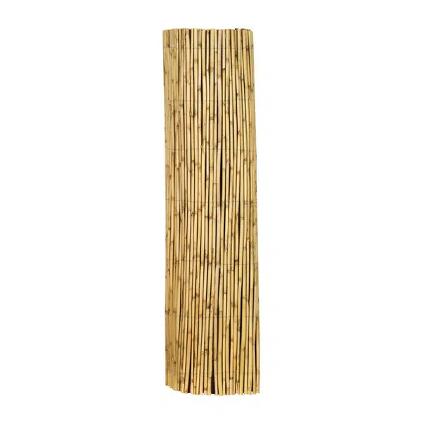 XXXL CLONA NA PLOT 300/150 cm