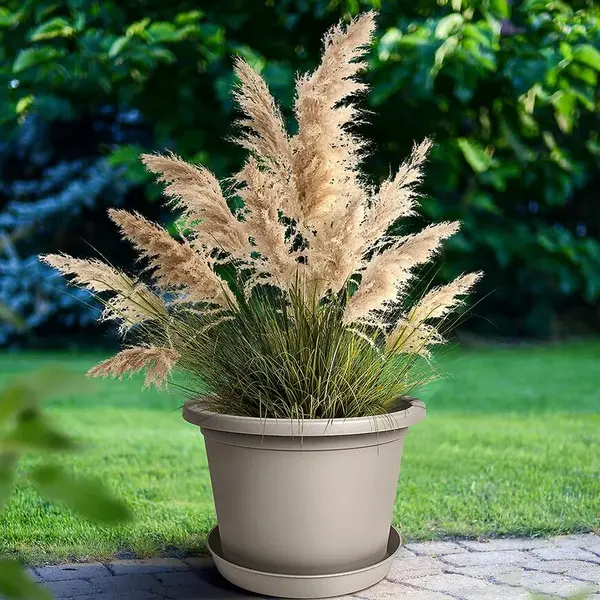 Kvetináč Ø 40x5 cm piesok 4226