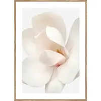 Monee TIŠTĚNÉ OBRAZY NA PLÁTNĚ, květiny, 51,2/71,2 cm