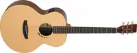 Tanglewood TM3E