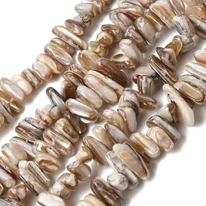 Natural Freshwater Shell Beads Strands