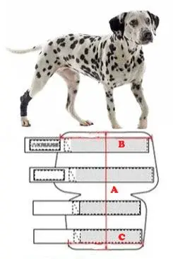 Bandáž rehab na hlezno pes Kruuse L