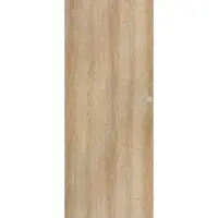 DRE Standard interiérové dvere levé 70 cm brest pasivní dveře IBIZAJ70LPAS