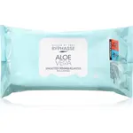 BYPHASSE Aloe Vera odličovacie obrúsky na make-up 40 ml