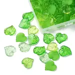 100G 5 Styles Transparent Acrylic Pendants