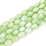 Natural Trochus Shell Beads Strands