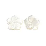 Natural White Shell Beads