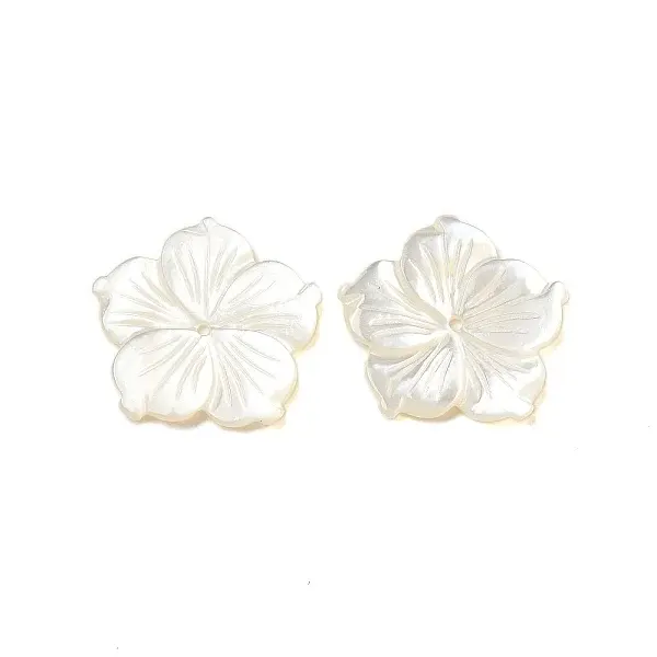 Natural White Shell Beads