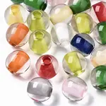 Resin European Beads