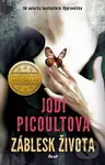 Záblesk života - Jodi Picoult