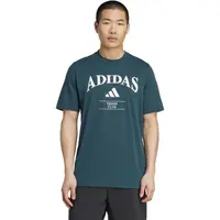 adidas HERITAGE TNS G TEE Pánské triko, tmavě zelená, velikost