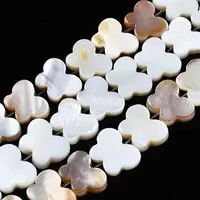 Natural Freshwater Shell Beads Strands