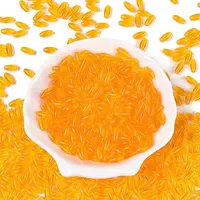 Transparent Colours Glass Seed Beads