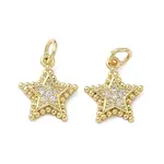 Brass Micro Pave Clear Cubic Zirconia Charms