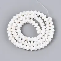 Natural Freshwater Shell Beads Strands
