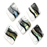 Natural Freshwater Shell & Black Lip Shell & Paua Shell & Natural White Shell Pendants