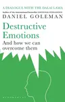 Destructive Emotions - Daniel Goleman