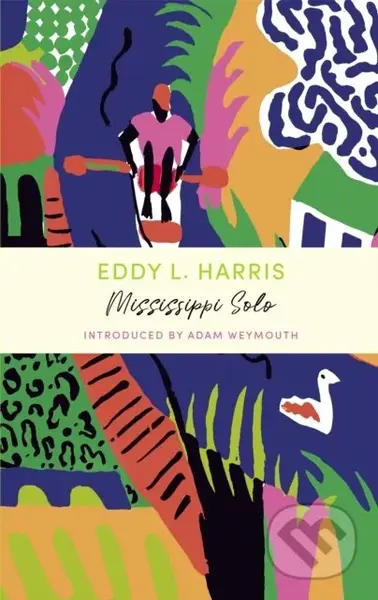 Mississippi Solo (A John Murray Journey) - Eddy L Harris - kniha z kategorie Zdraví a životní styl