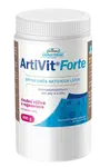 VITAR VETERINAE ArtiVit Forte prášek 600 g