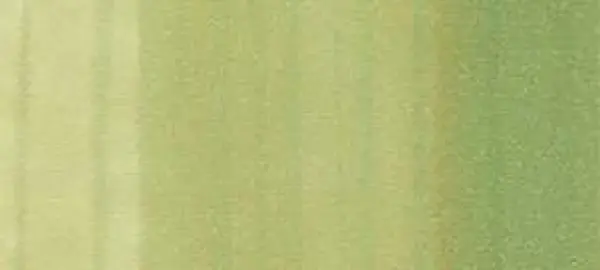 Copic classic marker – G82 Spring Dim Green