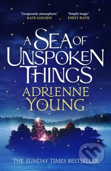 A Sea of Unspoken Things (a spellbinding mystery to lose yourself in)