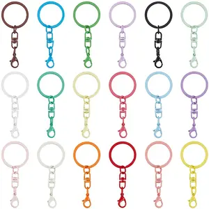 54Pcs 18 Styles Spray Painted Iron & Alloy Keychain Clasps
