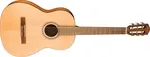 Fender CN-30 Nylon WB WN NAT