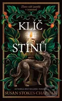 Klíč stínů - Susan Stokes-Chapman - kniha z kategorie Thrillery