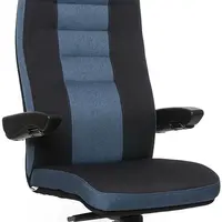 MULTISED Zátěžové křeslo BZJ 453 XXL, nosnost 200 kg
