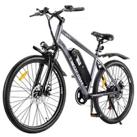 TWOFISH TF-1 Electric Bike 250W 36V 15Ah Grey