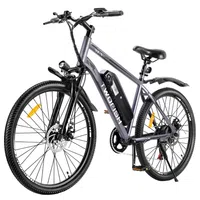 TWOFISH TF-1 Electric Bike 250W 36V 15Ah Grey
