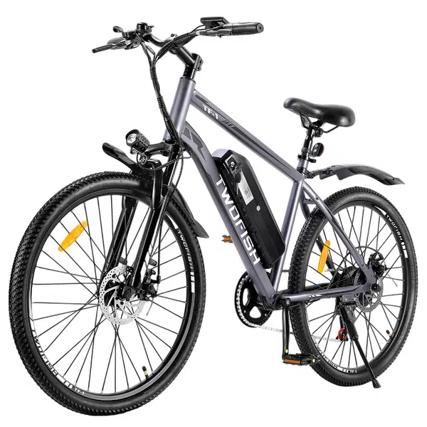 TWOFISH TF-1 Electric Bike 250W 36V 15Ah Grey
